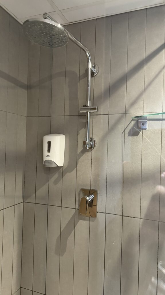 a shower with a soap dispenser and a hand soap dispenser