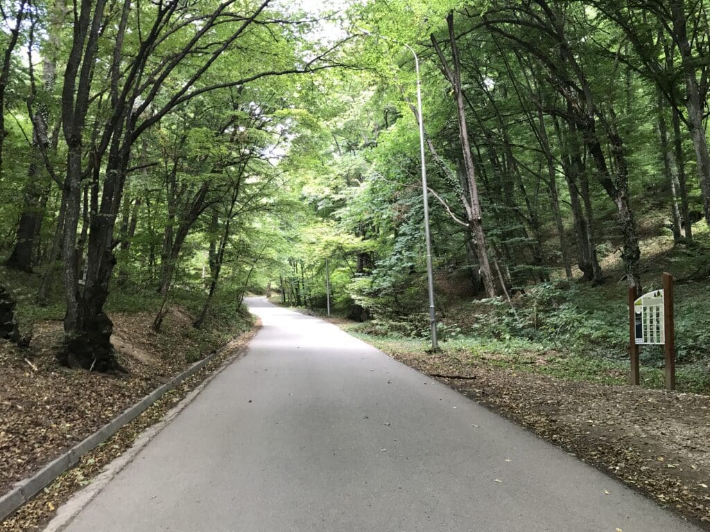 a road with trees on the side in Gërmia Park, Pristina, Kosovo