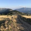 a dirt road in a grassy area with mountains in the background