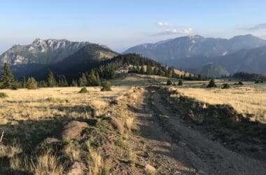 a dirt road in a grassy area with mountains in the background