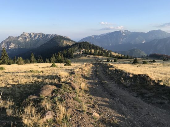 a dirt road in a grassy area with mountains in the background