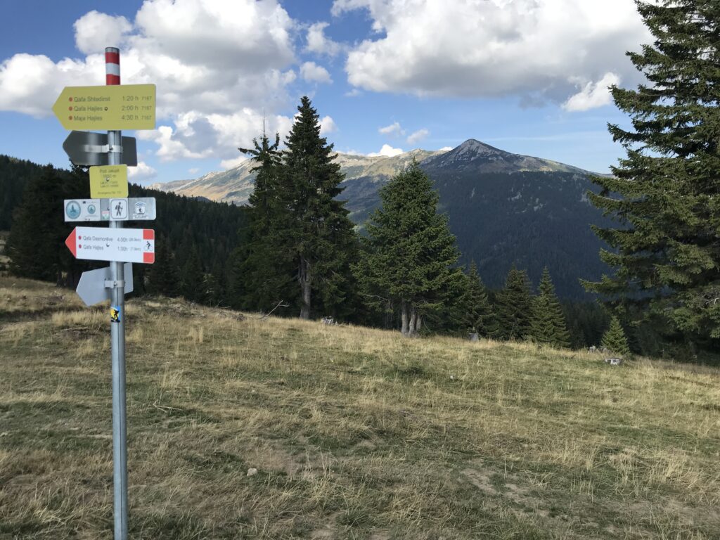 a sign on a hill with trees and mountains in the background