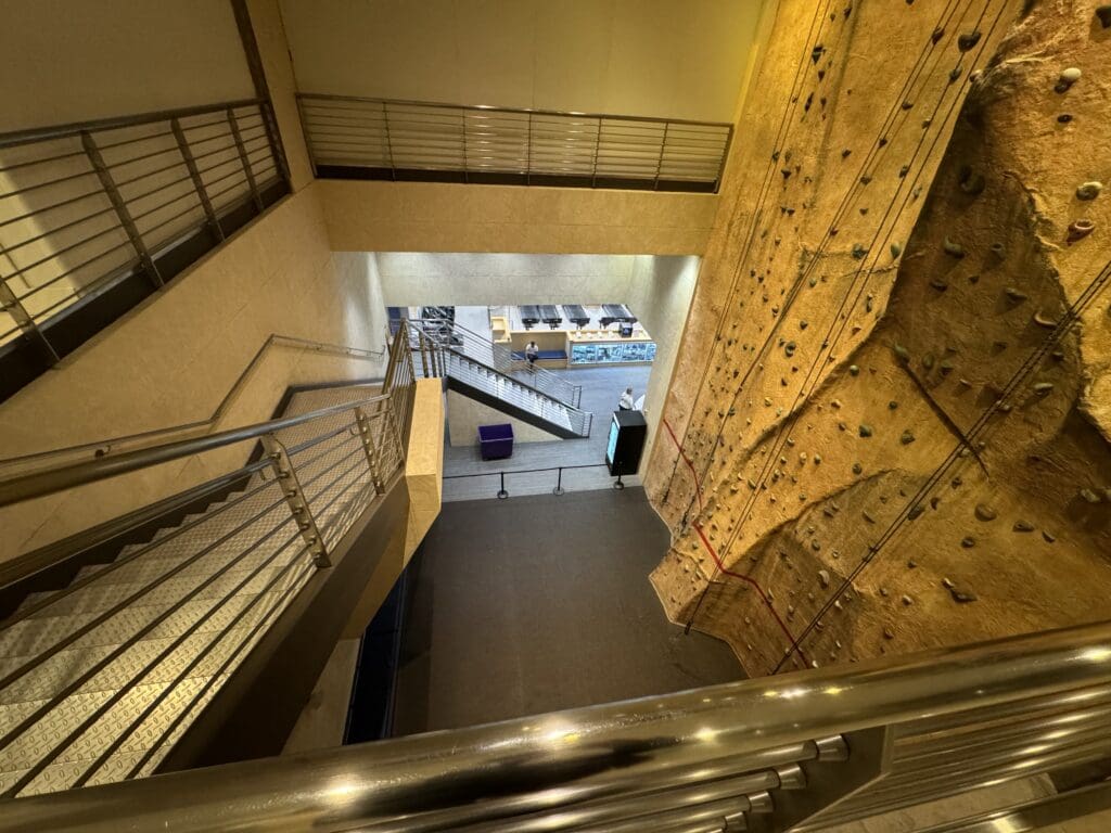 a climbing wall inside a building