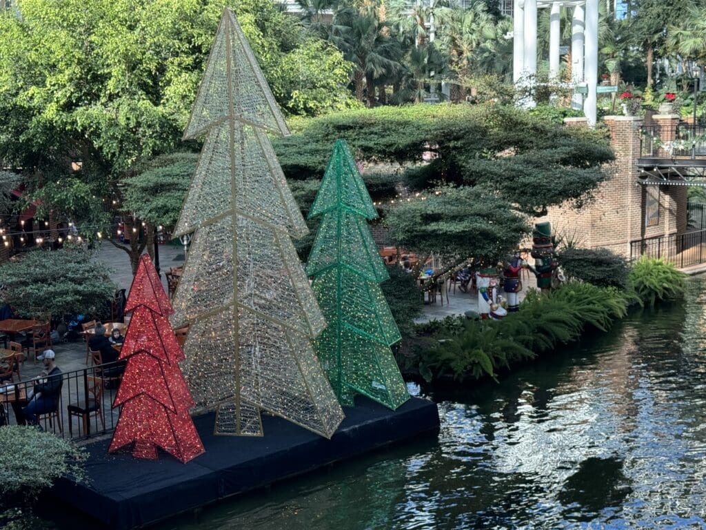 a group of trees on a river