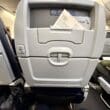 American Airlines Boeing 737 Main Cabin Seatback