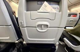 American Airlines Boeing 737 Main Cabin Seatback