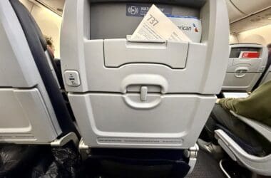 American Airlines Boeing 737 Main Cabin Seatback