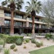 a building with palm trees and a patio