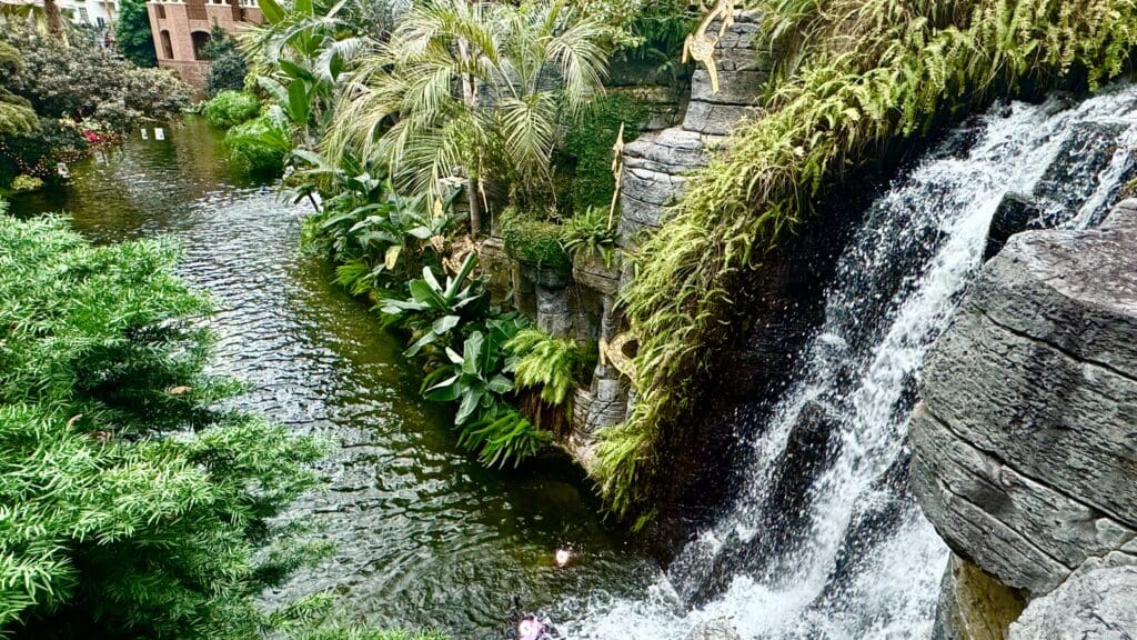 a waterfall in a tropical forest