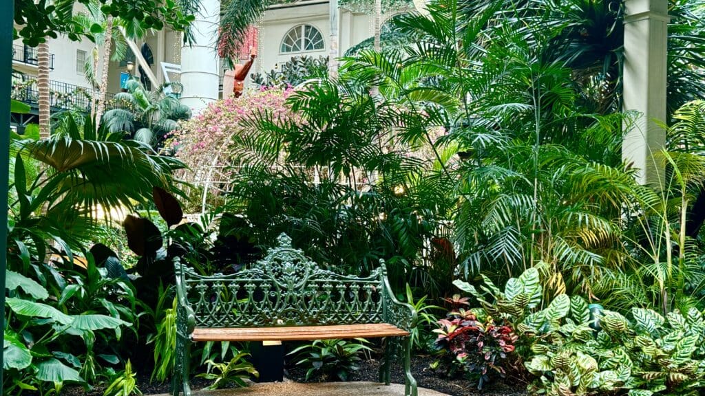 a bench in a garden