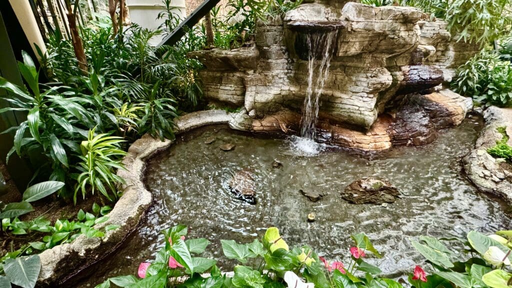 a waterfall in a garden