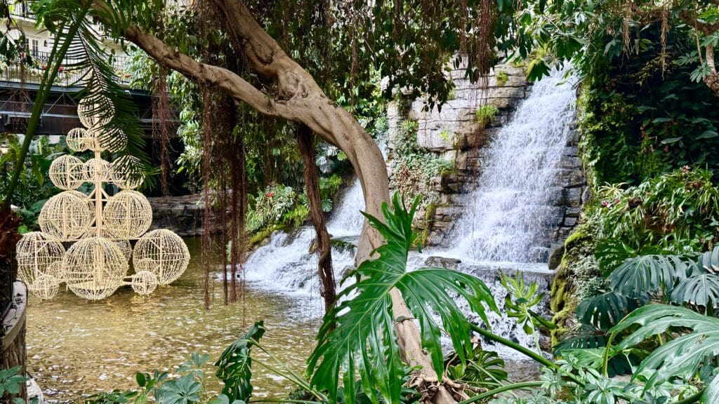 a waterfall in a tropical garden