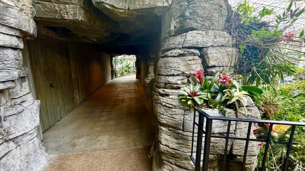 a stone wall with plants in it