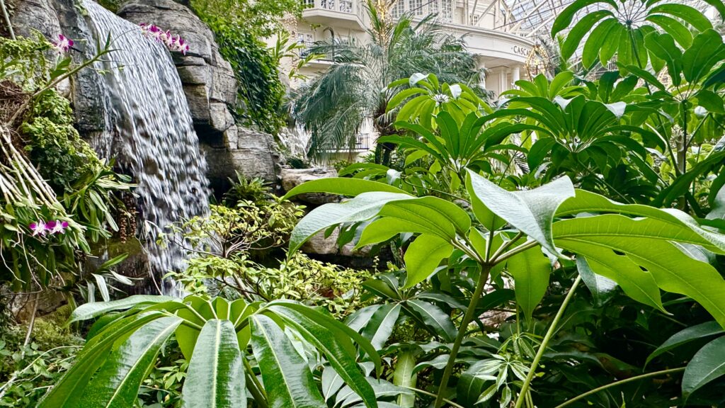 a waterfall in a tropical garden