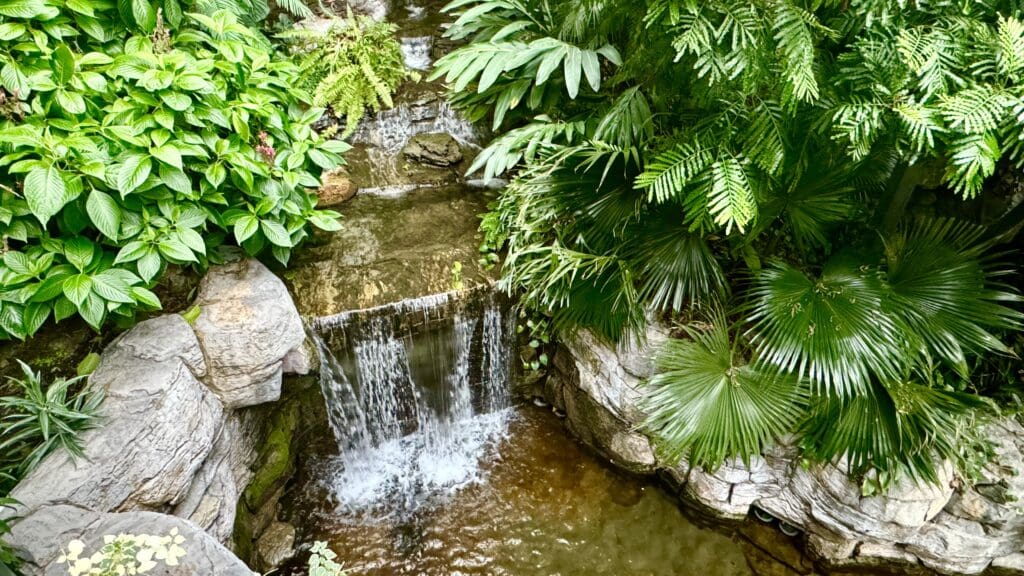 a waterfall in a tropical garden