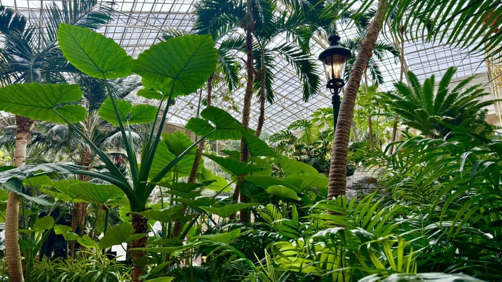 a lamp post in a greenhouse