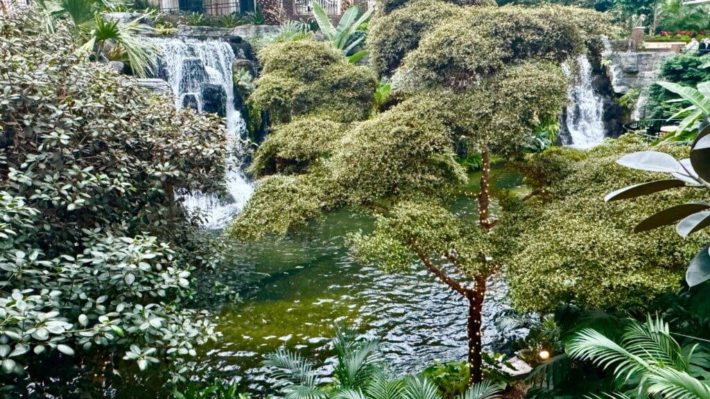 a waterfall and trees in a garden