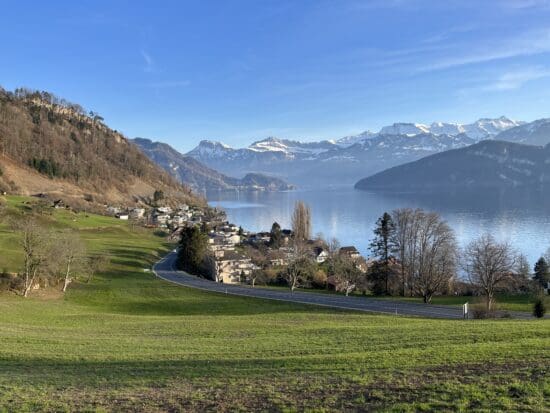 a road leading to a body of water