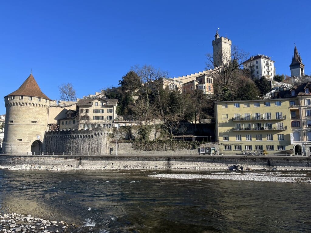 a river with buildings and trees