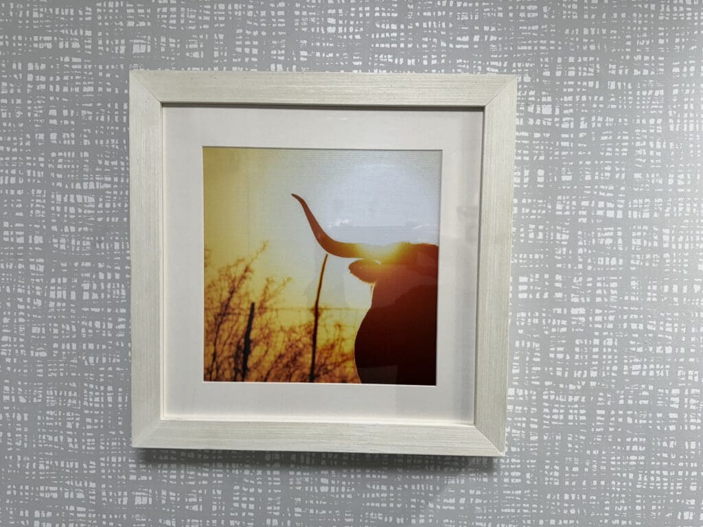 a picture of a bull in a white frame on a wall