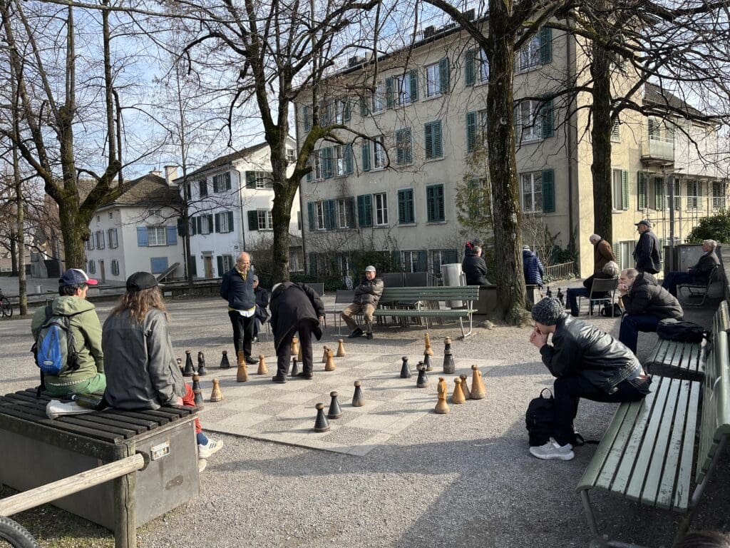 people playing chess in a park