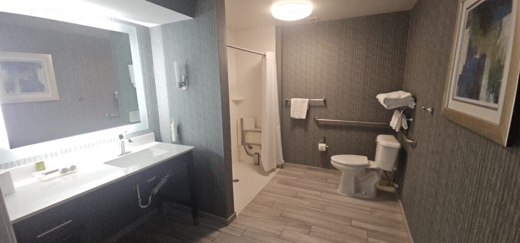 a bathroom with a sink and toilet