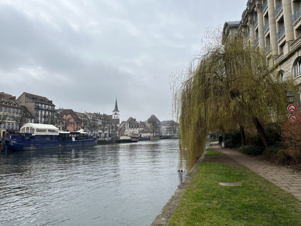 a river with trees and buildings on the side