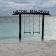 hilton surpass card