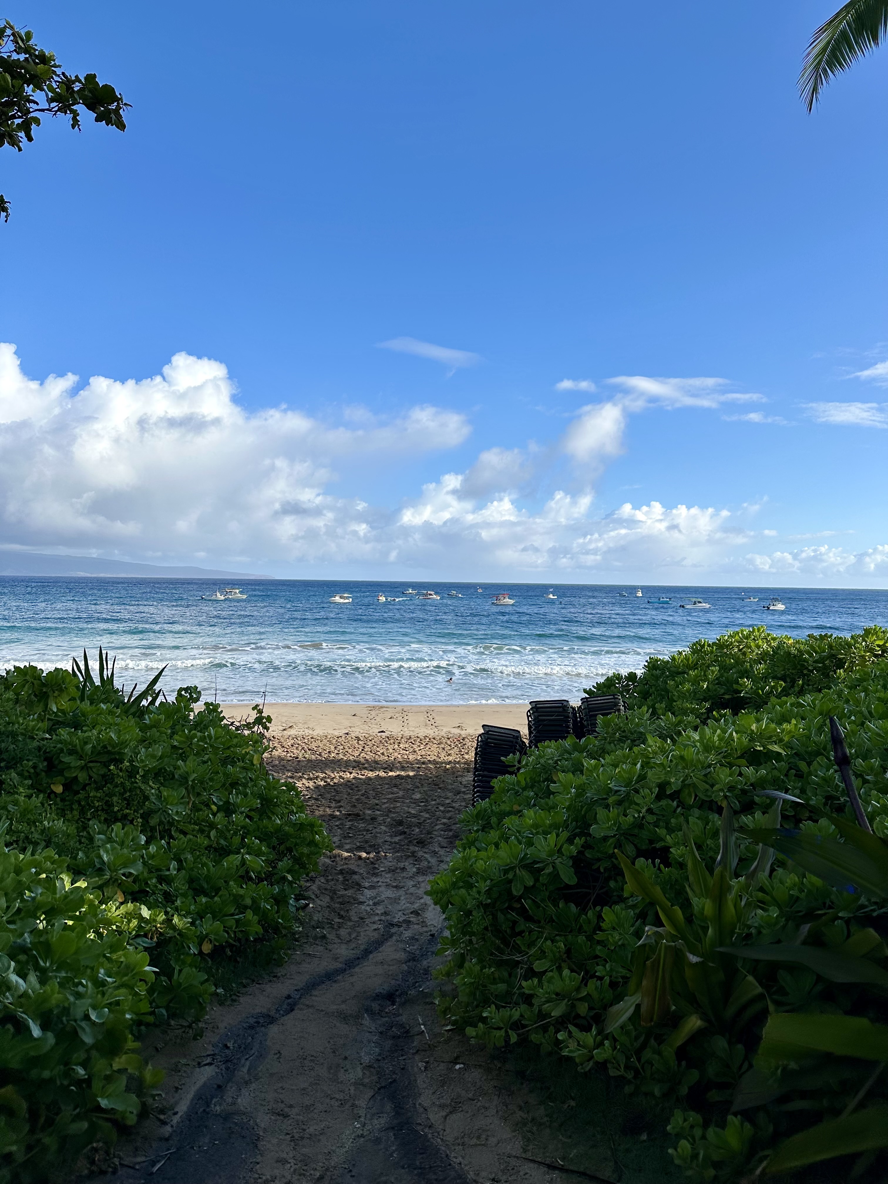 a path to the beach
