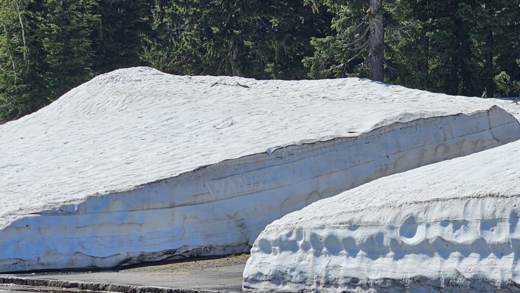 snow on the ground