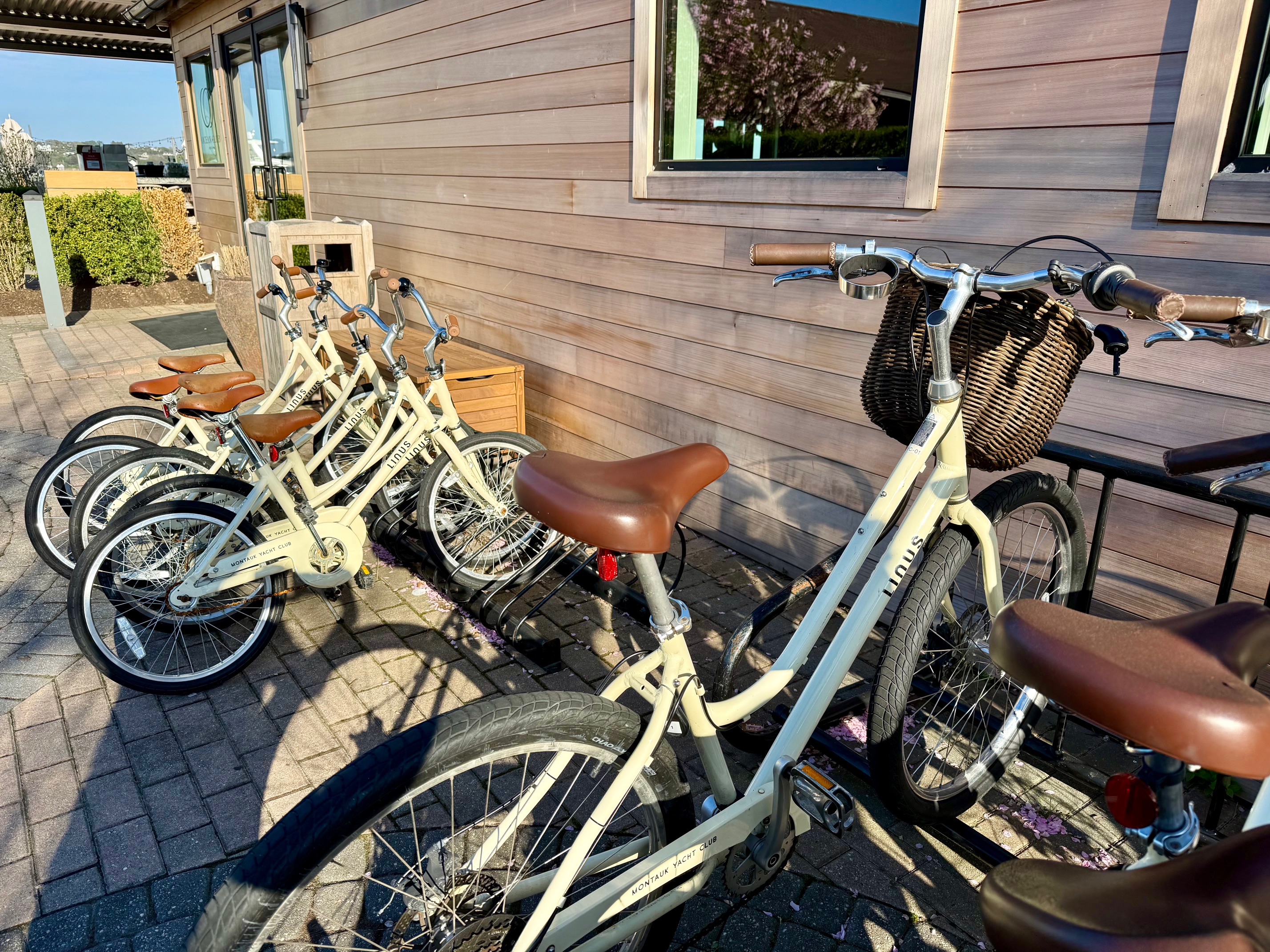 a group of bicycles parked in front of a building