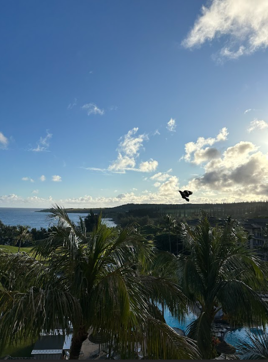 Ritz Carlton Maui Partial Ocean View