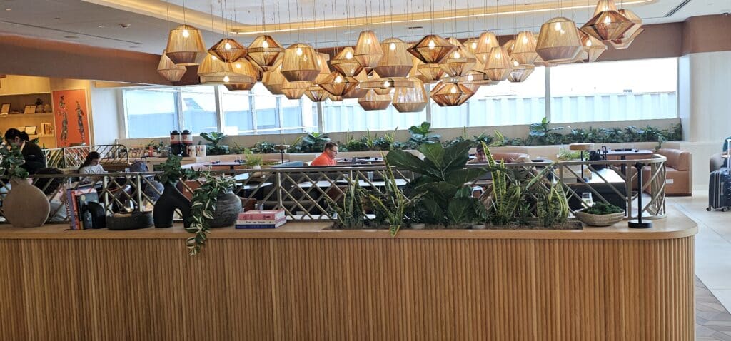 a room with a large counter and plants