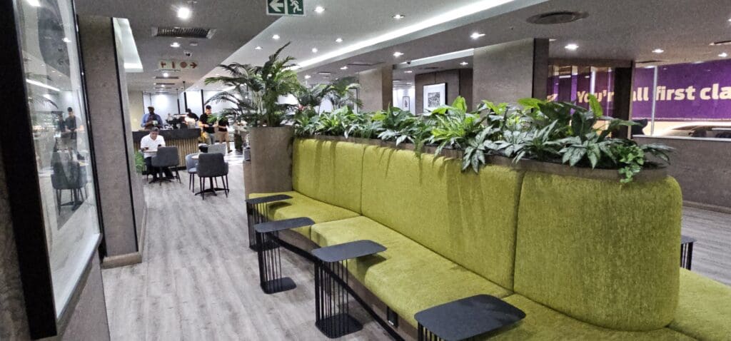 a green couch with plants in front of it