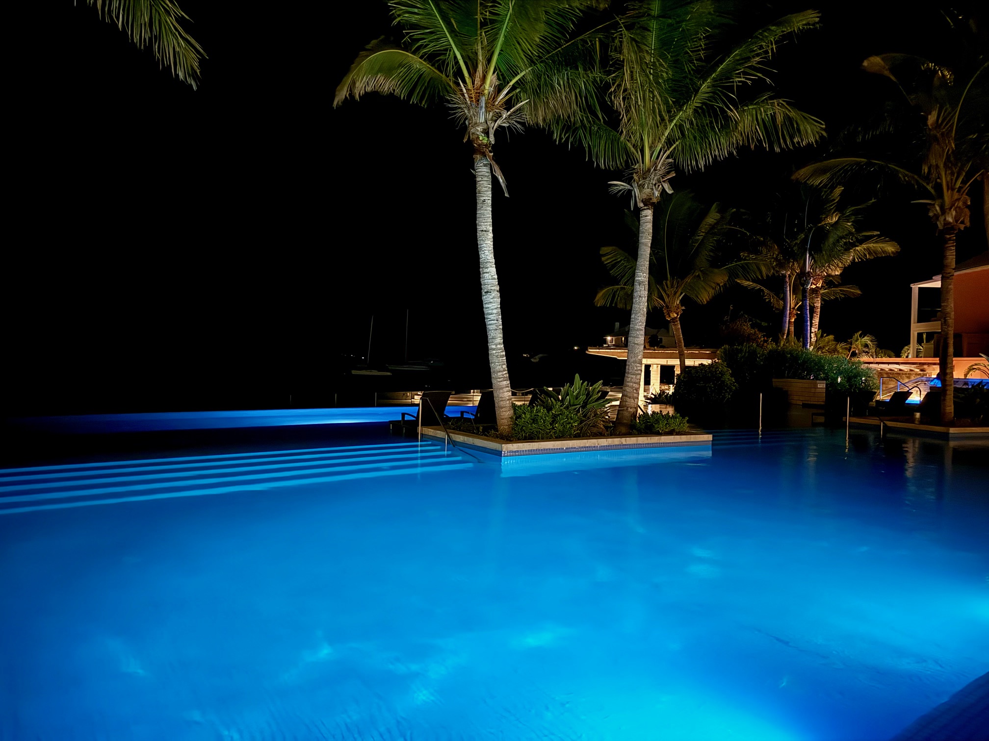 a pool with palm trees at night