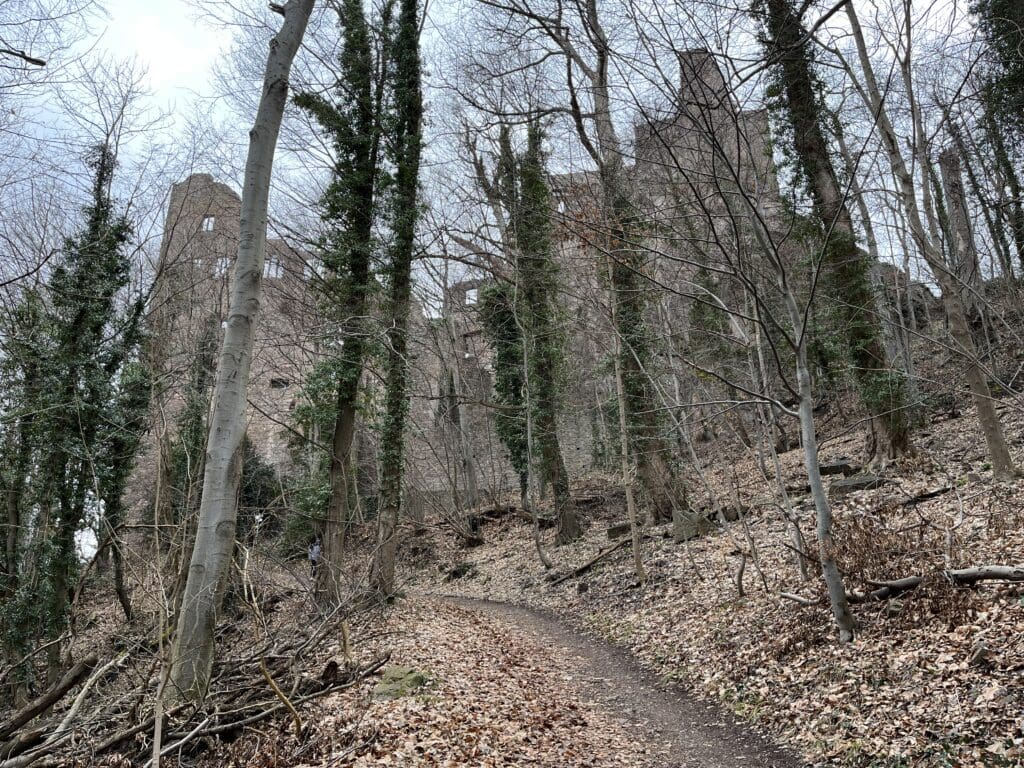 a path in the woods with trees and a castle