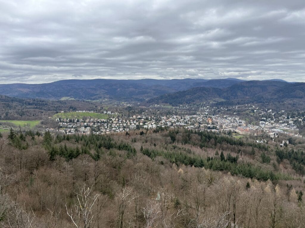 a landscape with trees and a city