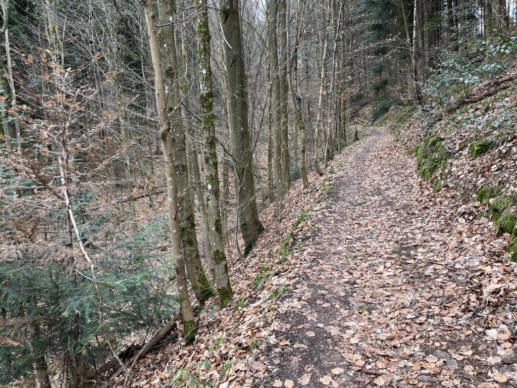 Baden-Baden hiking path