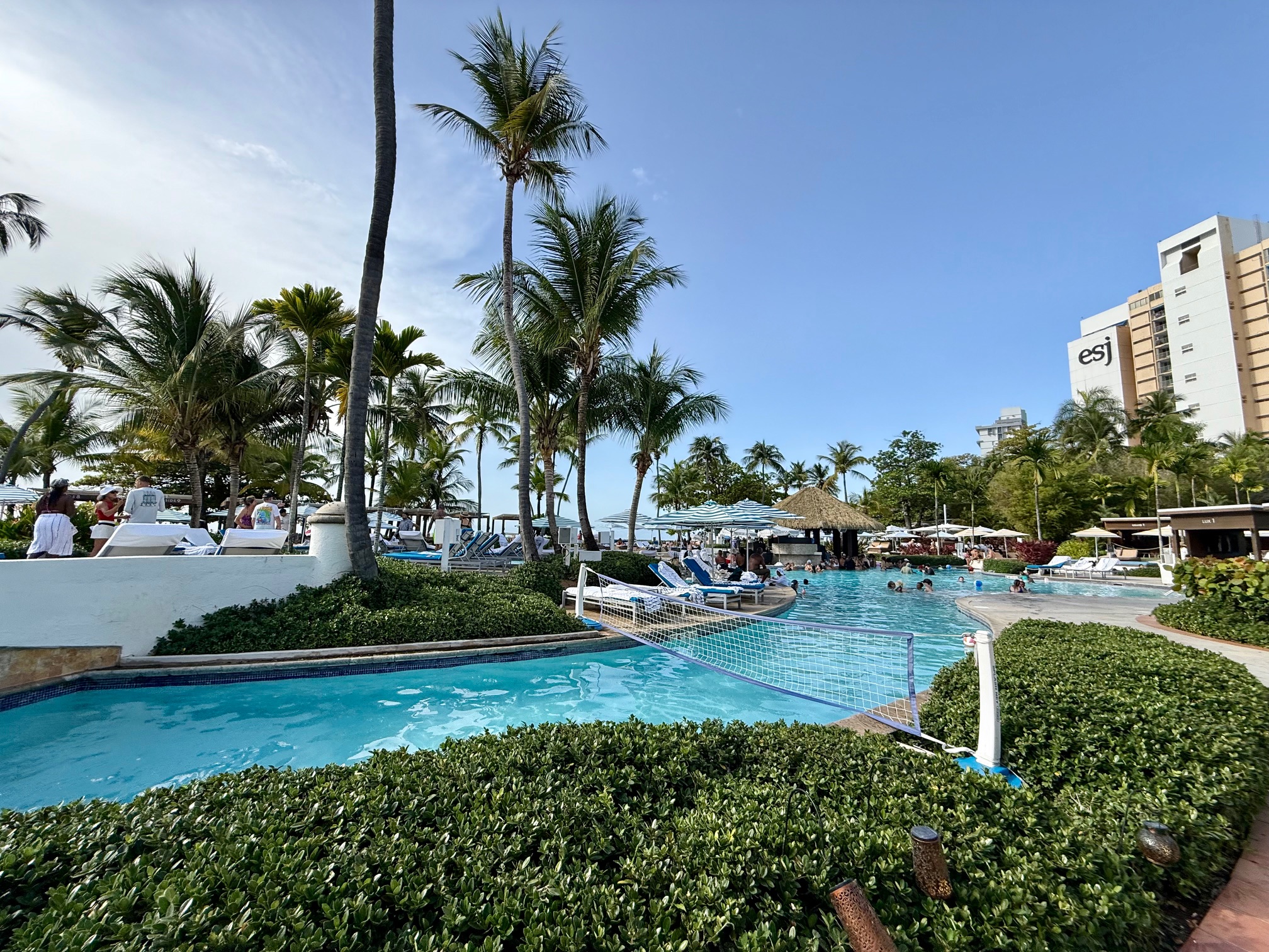 a pool with a net and palm trees at the Fairmont El San Juan