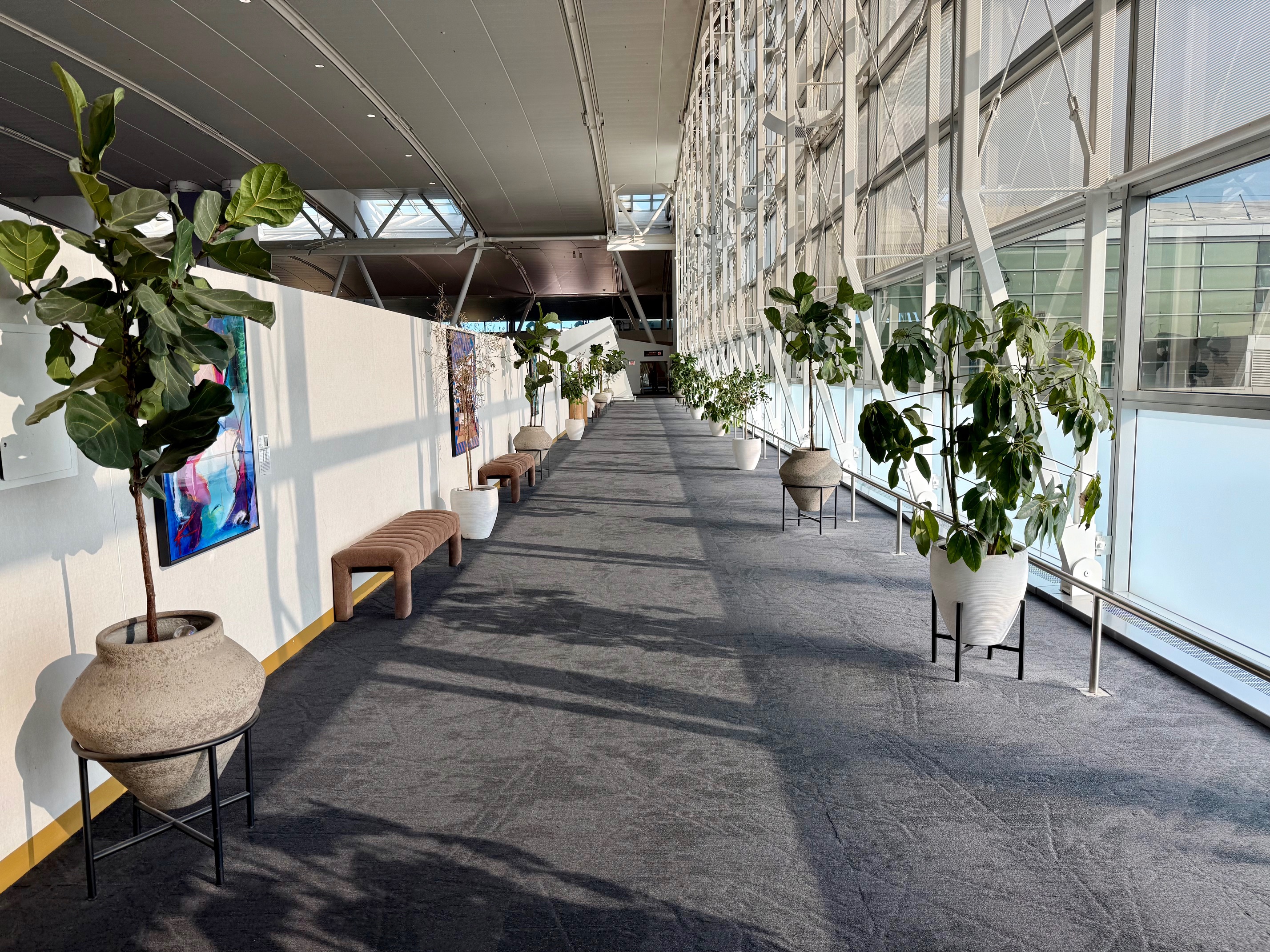 a long hallway with plants in pots