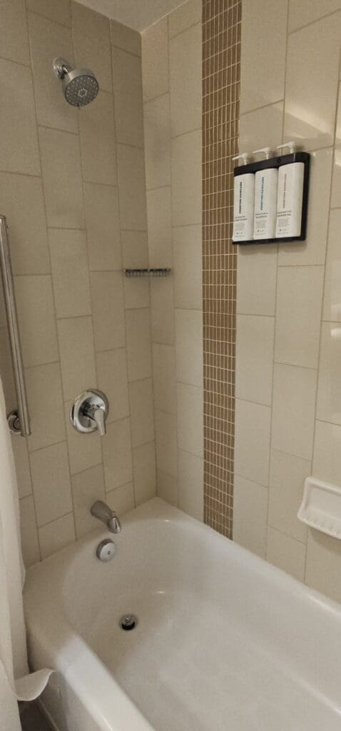 a shower with a toilet and shower head