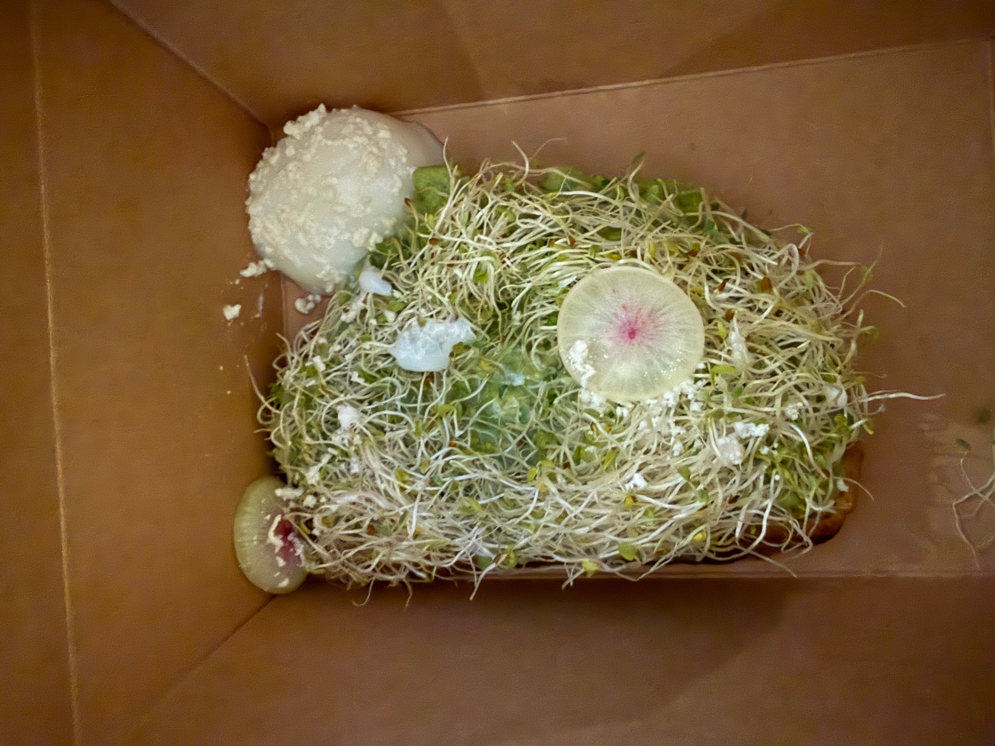 a box with food in it