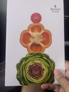 Singapore Airlines Business Class