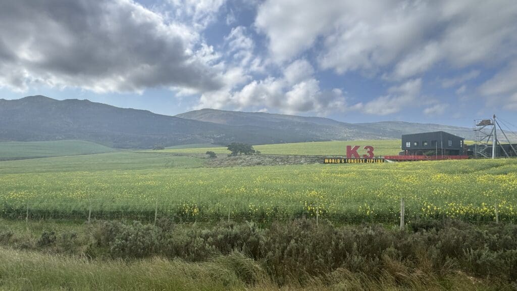 a green field with yellow flowers and a sign