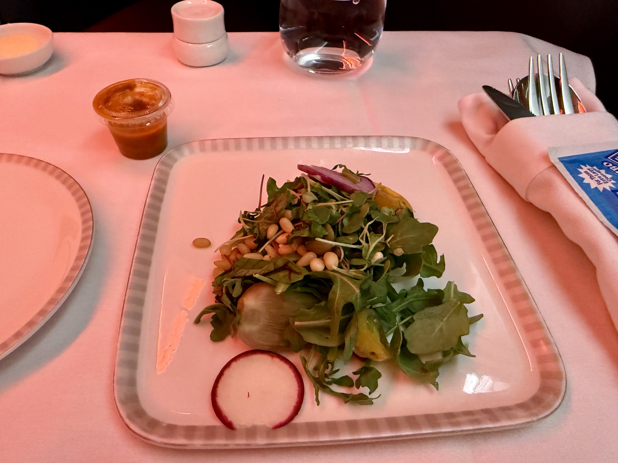 Singapore Airlines 777 Business Class