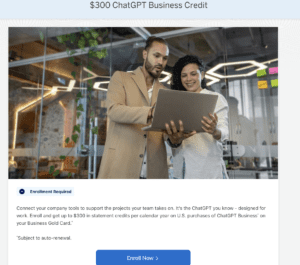 american express