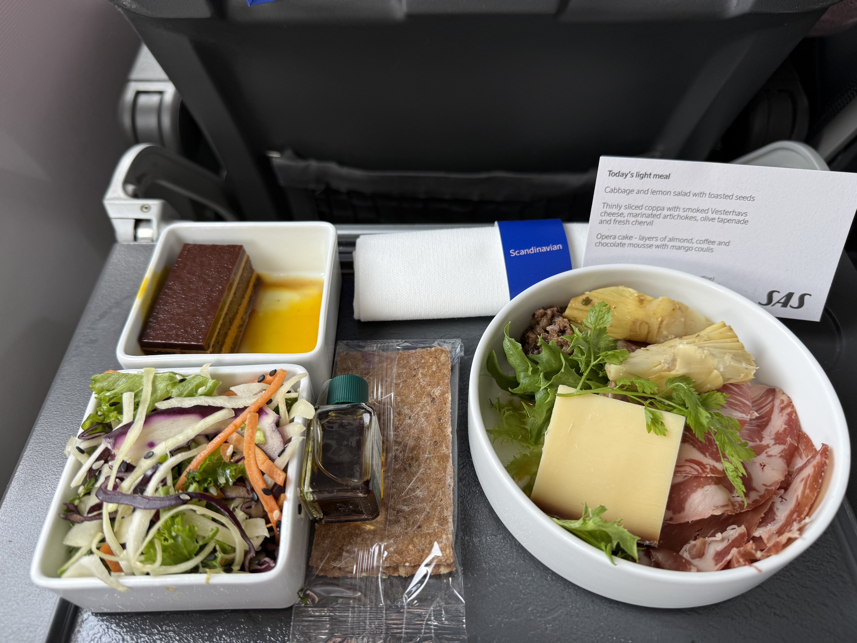 SAS A320 Business Class